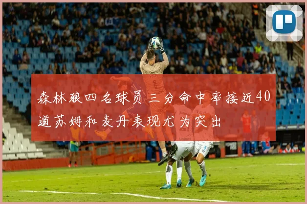 森林狼四名球员三分命中率接近40道苏姆和麦丹表现尤为突出