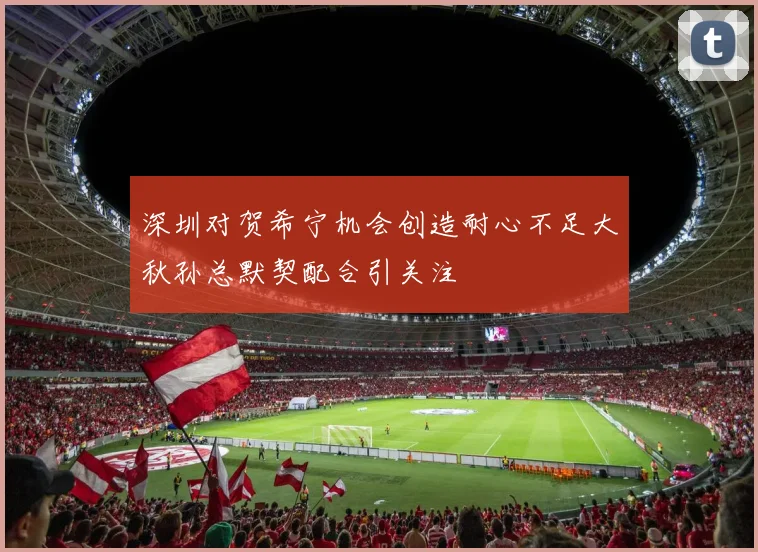 深圳对贺希宁机会创造耐心不足大秋孙总默契配合引关注